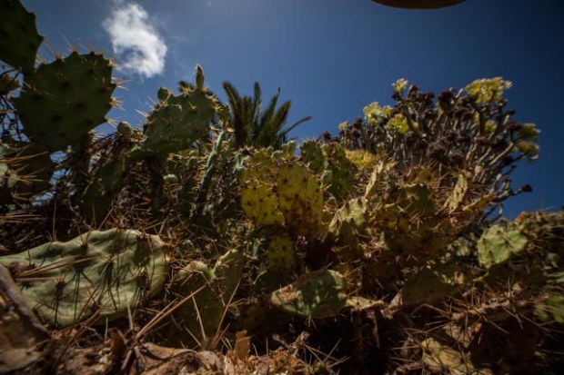 fuerteventura-5619-septembre-2016