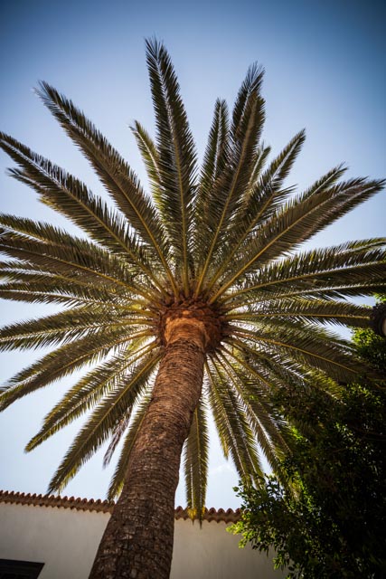 fuerteventura-6619-septembre-2016