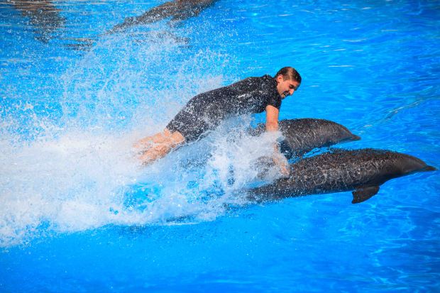 tenerife-17328-septembre-2016