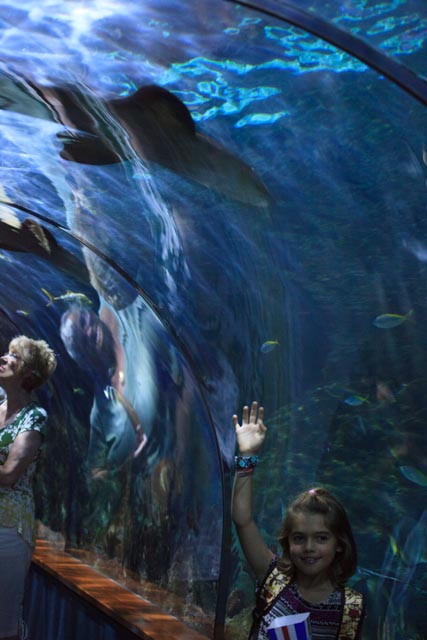 tenerife-20628-septembre-2016