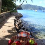 Img 0333wordp   Couleur Grenadines