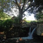 Img 0416wordp   Couleur Grenadines