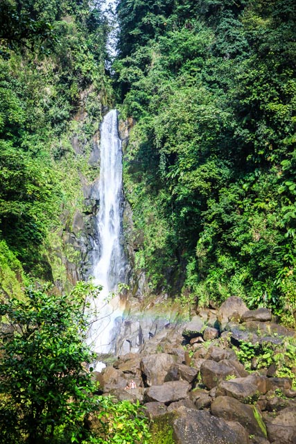 dominique491-17-janvier-2017