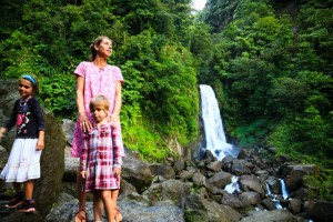 dominique499-17-janvier-2017