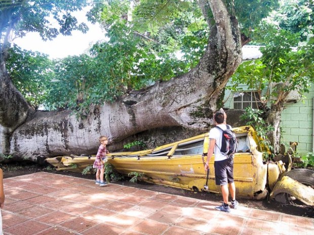 dominique538-17-janvier-2017