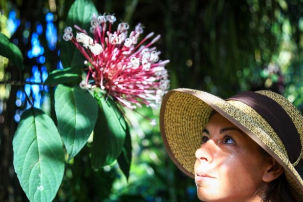 martinique33211-janvier-2017