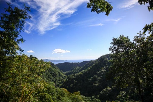 martinique33811-janvier-2017