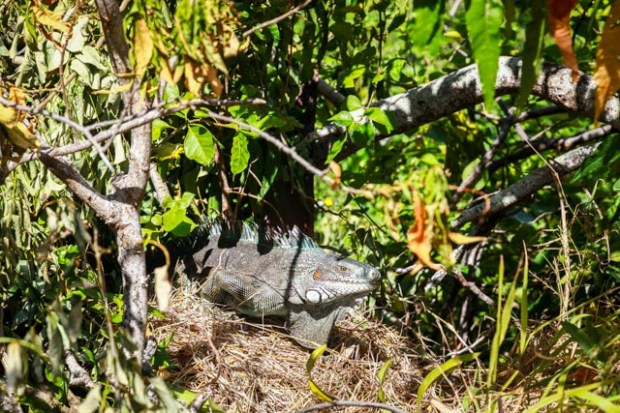 lessaintes19-14022017