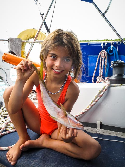 Antigua1518 26 février 2017