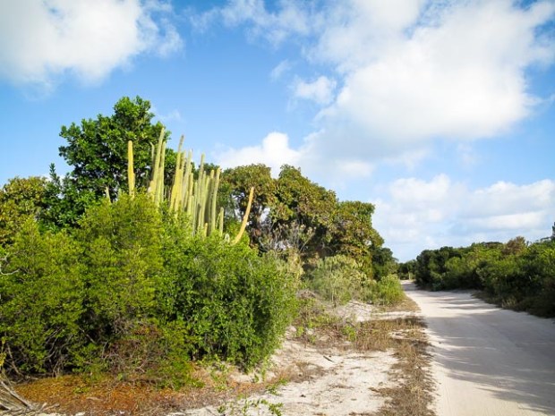 Barbuda1553 28 février 2017
