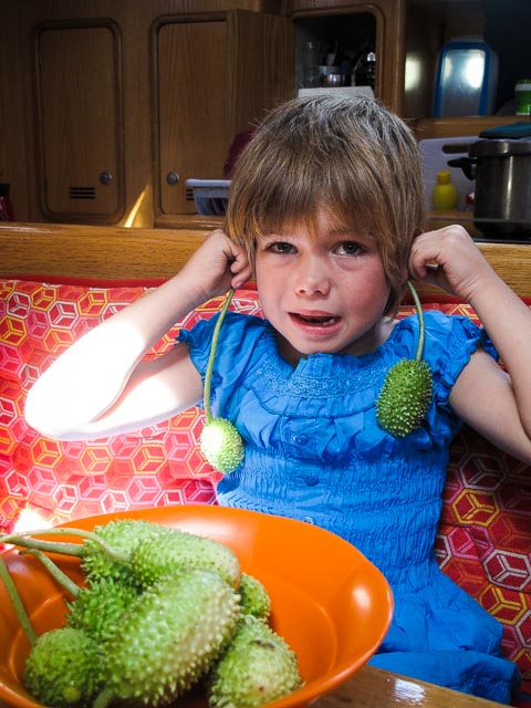 Guadeloupe865 27 janvier 2017