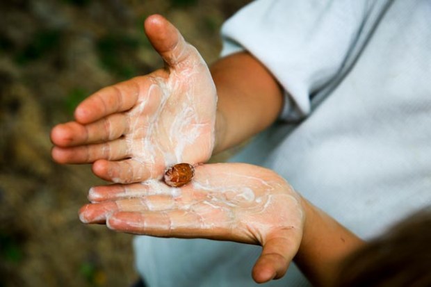 Cienfuego93 19052017