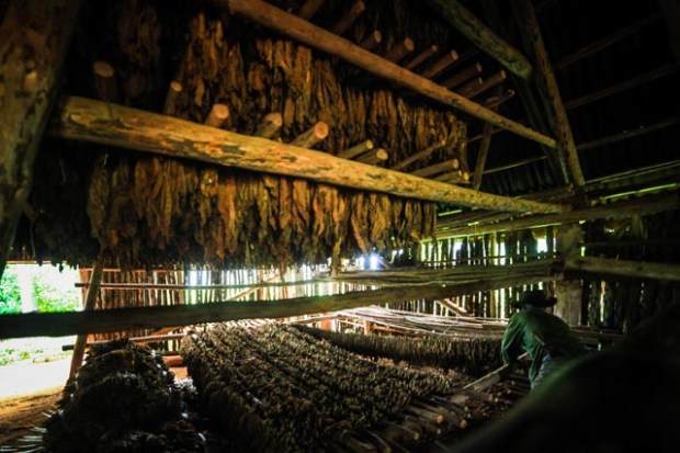 Vinales4926 07 juin 2017