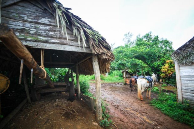Vinales4940 07 juin 2017