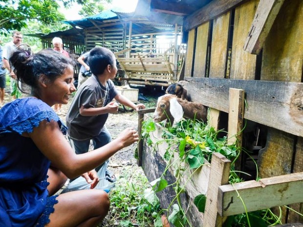 Guatemala-FrutosDelMundo5757 05 juillet 2017