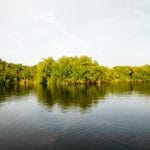 Guatemala manglar5598 21 Juin 2017   Bien à Labri Au Fond Du Rio Dulce
