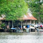 Guatemala manglar5608 22 Juin 2017   Bien à Labri Au Fond Du Rio Dulce