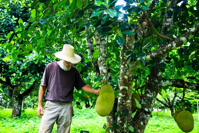 Guatemala-Rentree_ecole5842 05 juillet 2017