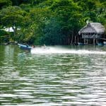 Guatemala5507 19 Juin 2017   Bien à Labri Au Fond Du Rio Dulce