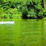 Guatemala5517 19 Juin 2017   Bien à Labri Au Fond Du Rio Dulce
