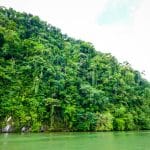 Guatemala5521 19 Juin 2017   Bien à Labri Au Fond Du Rio Dulce
