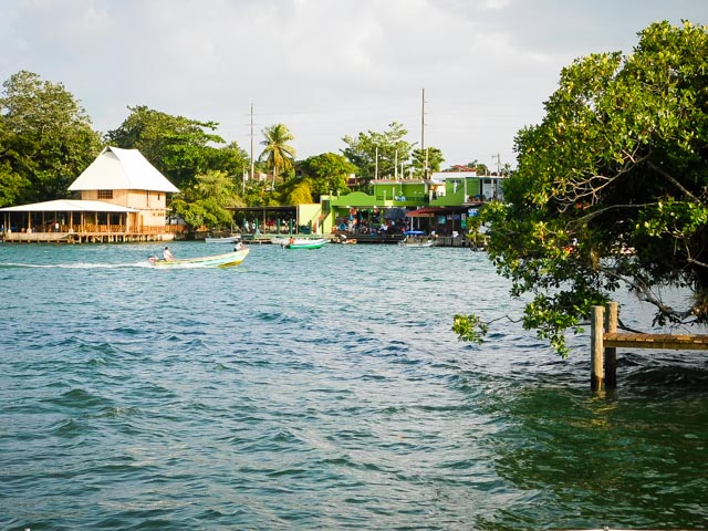 Guatemala-Manglar5636 30 juin 2017