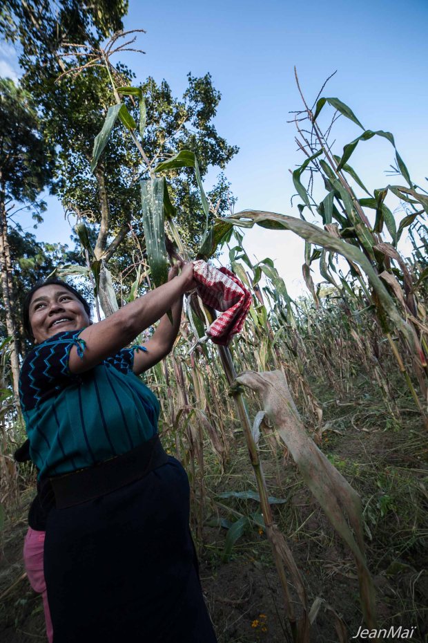 Antigua02112017-IMG_0340-1