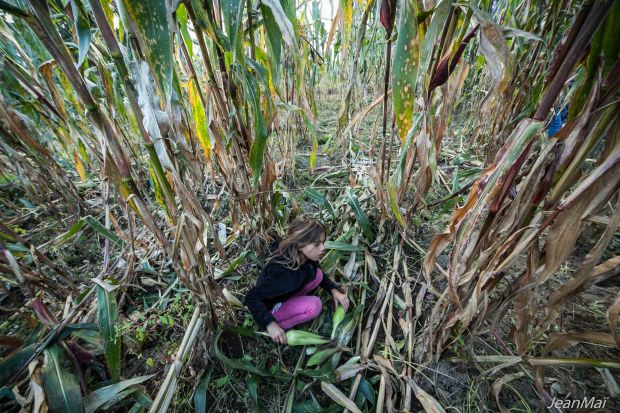 Antigua02112017-IMG_0347-2