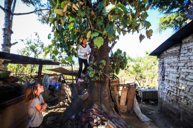 Antigua09112017-IMG_0700