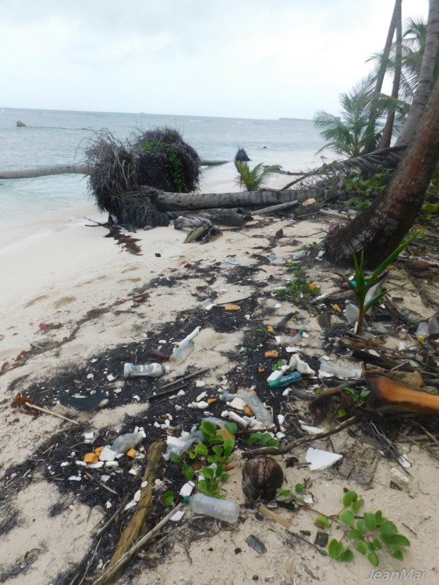 SanBlas13012018-DSCN2253