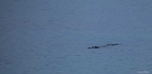 SanBlas18012018-IMG_0158