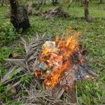 Brûlage Des Poubelles   Limprobable Archipel Des San Blas