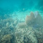 Dcim101gopro   Limprobable Archipel Des San Blas
