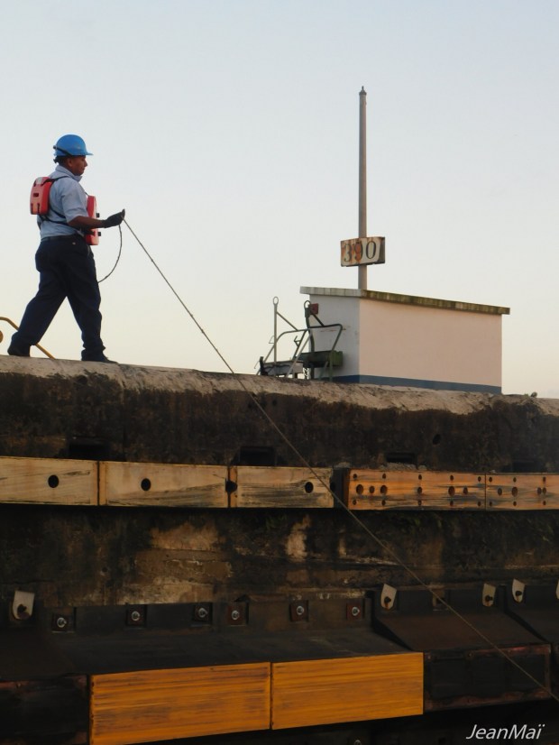 Canal02032018-DSCN2547-2