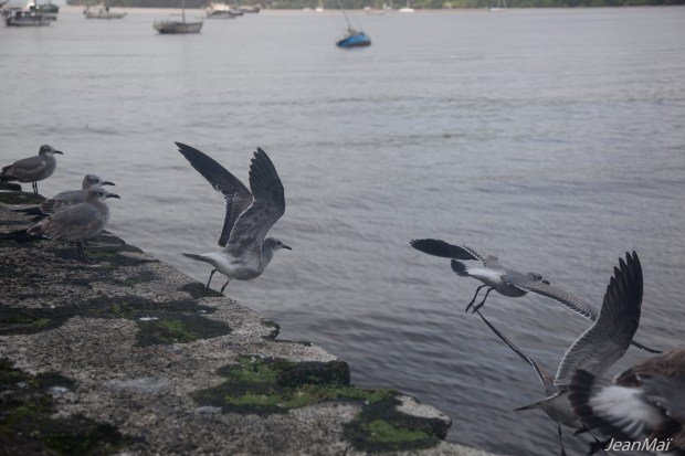 Panama06012018-IMG_0009