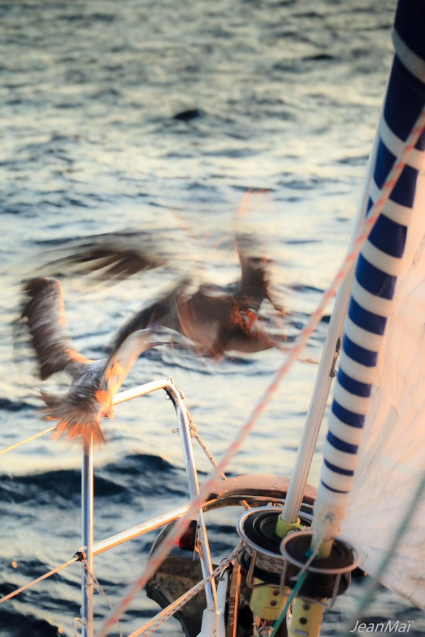 Galapagos13042018-IMG_0007