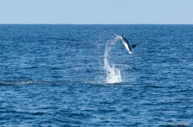 Galapagos16042018-IMG_0049