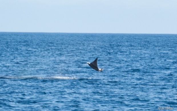 Galapagos16042018-IMG_0051