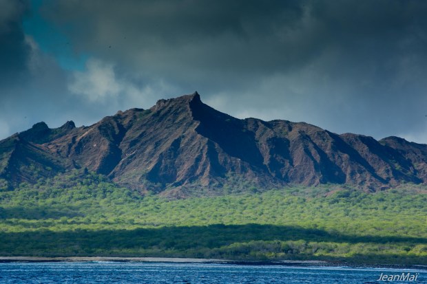 Galapagos17042018-IMG_0080