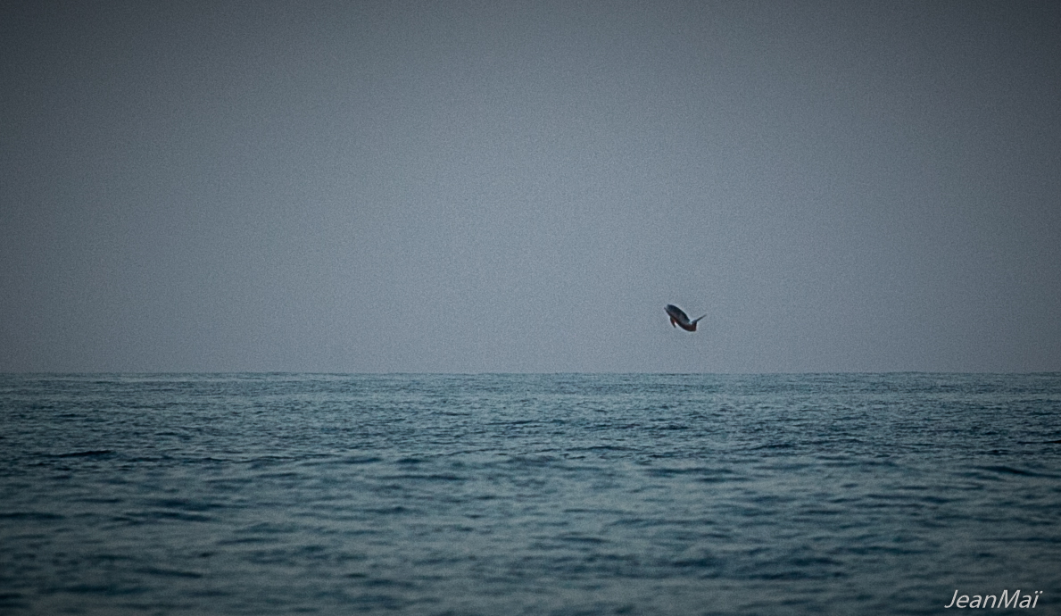 Panama_depart08042018-IMG_0132