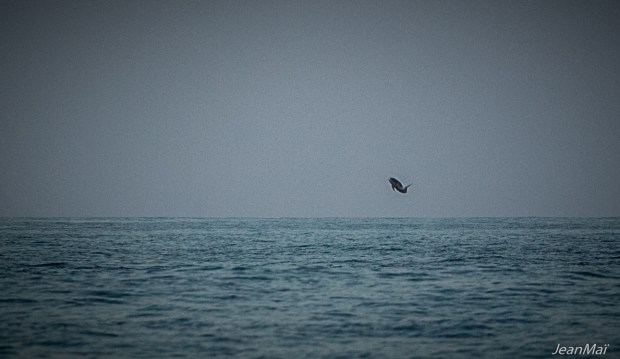 Panama_depart08042018-IMG_0132