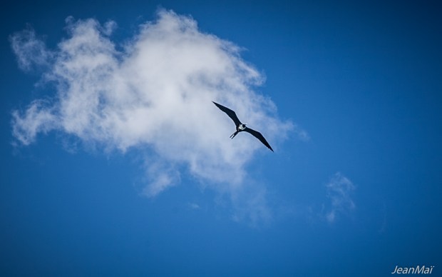 Portobelo01032018-IMG_0085