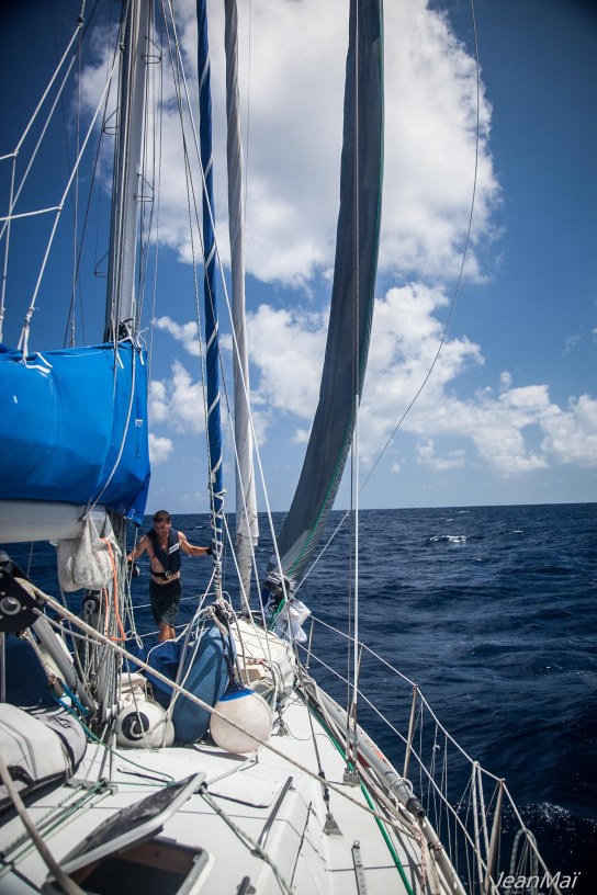 Transpac27042018-IMG_0015
