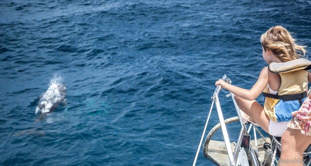 Transpacifique13042018-IMG_0023