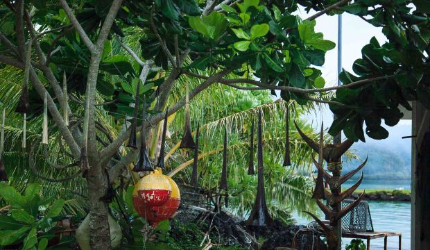 Akamaru01062018-IMG_0002