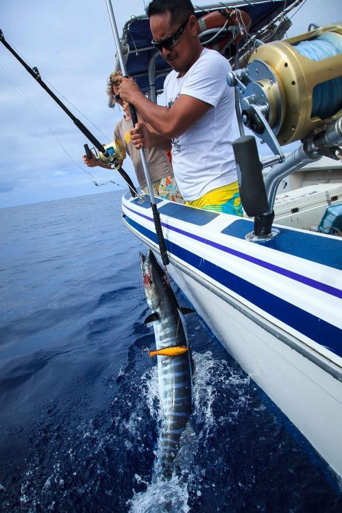 Akamaru01062018-IMG_0015