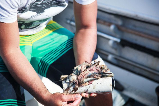 Akamaru01062018-IMG_0020