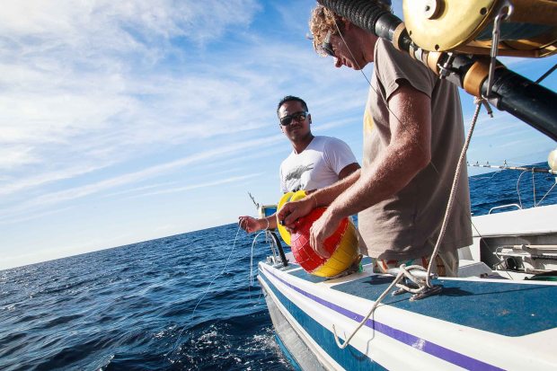 Akamaru01062018-IMG_0033