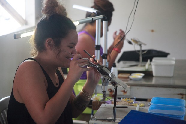 Gambier22052018-IMG_0110