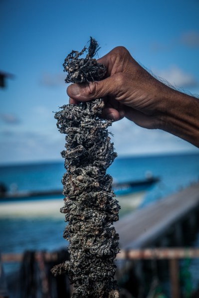 Gambier22052018-IMG_0125